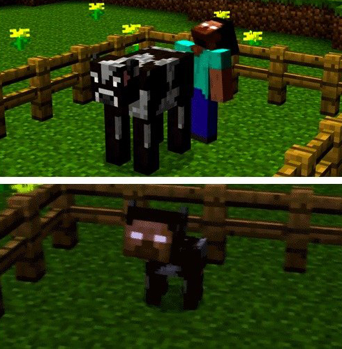 http://www.img2.9minecraft.net/Funny/Minecraft-Funny-6.jpeg