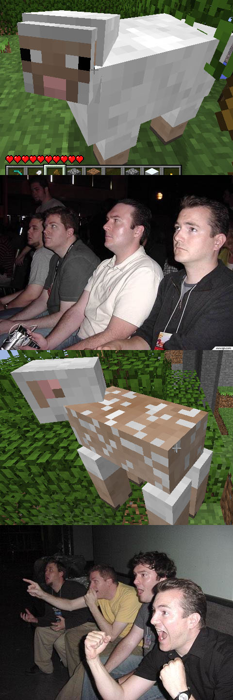 http://www.img2.9minecraft.net/Funny/Minecraft-Sheep-Guys.jpg