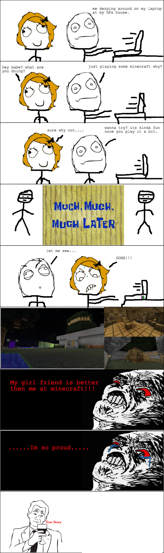 http://www.img2.9minecraft.net/Funny/True-Story-5.jpg