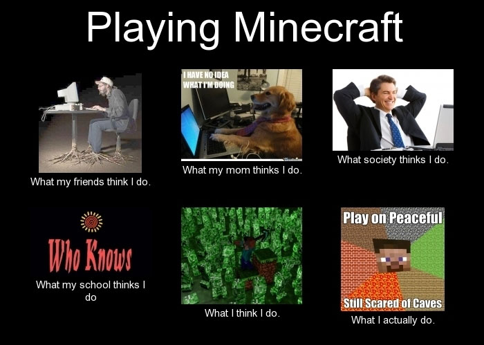 http://www.img2.9minecraft.net/Funny/True-Story-6.jpg