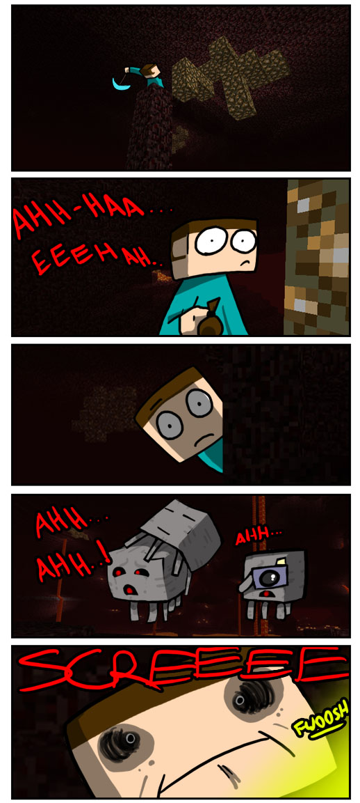 http://www.img2.9minecraft.net/Funny/True-Story-7.jpg