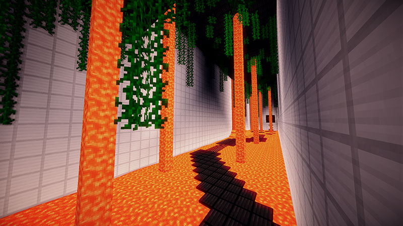 http://www.img2.9minecraft.net/Map/DeathRun-Map-1.jpg