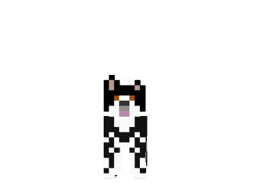 http://www.img2.9minecraft.net/Skin/Collie-skin.png