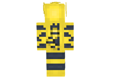 http://www.img2.9minecraft.net/Skin/Electrabuzz-skin-1.png