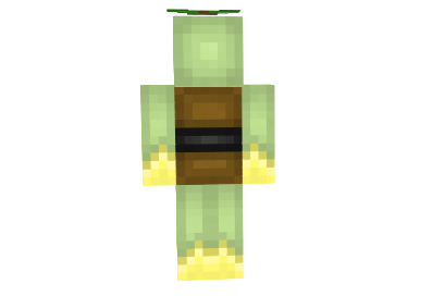 http://www.img2.9minecraft.net/Skin/Turtwig-skin-1.png