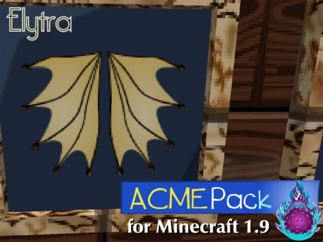 ACME-resource-pack-1.jpg