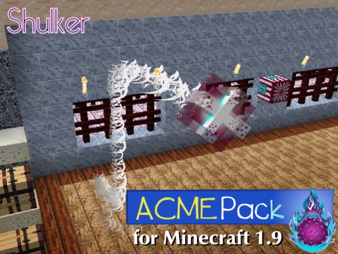 ACME-resource-pack-2.jpg