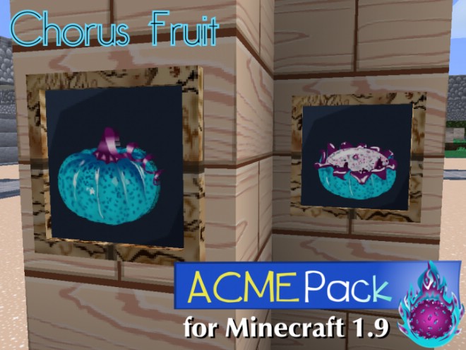 ACME-resource-pack-4.jpg