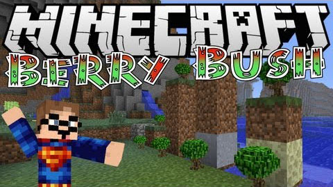 https://img2.9minecraft.net/Mod/BerryBush-Mod.jpg