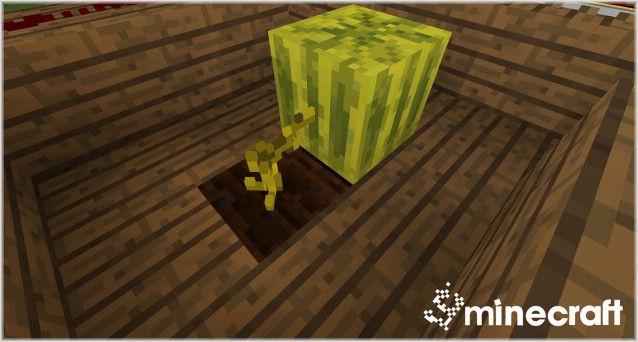 https://img2.9minecraft.net/Mod/Blocks-3D-Mod-6.jpg