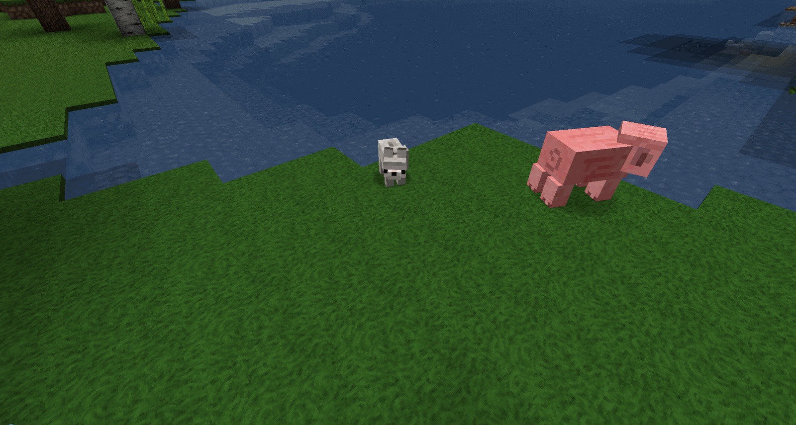 https://www.img2.9minecraft.net/Mods/Baby-Animals-Mod-5.jpg