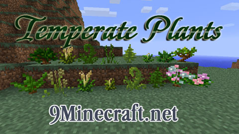 Temperate-Plants-Mod.jpg