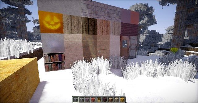 Outdoorsy Realism Christmas Resource Pack 4