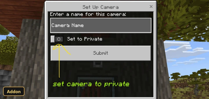camera setup menu with "Set to Private" option