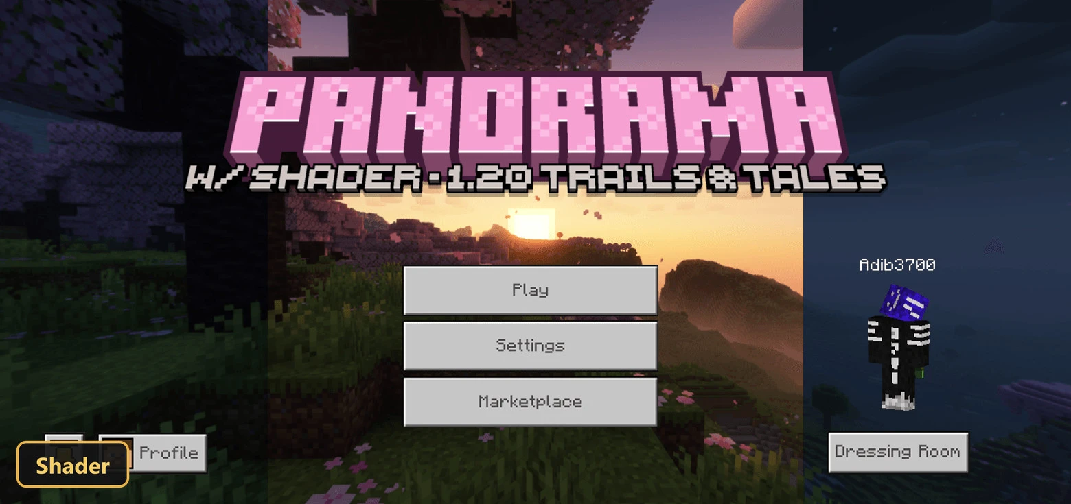 Cherry blossom biome at sunset, with a custom title overlay
