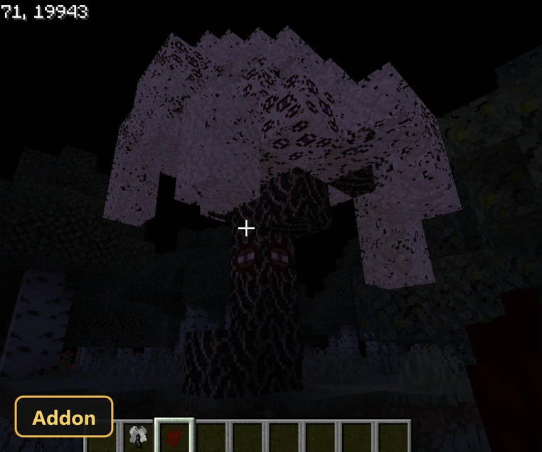 dark forest at night with a large white and dark tree