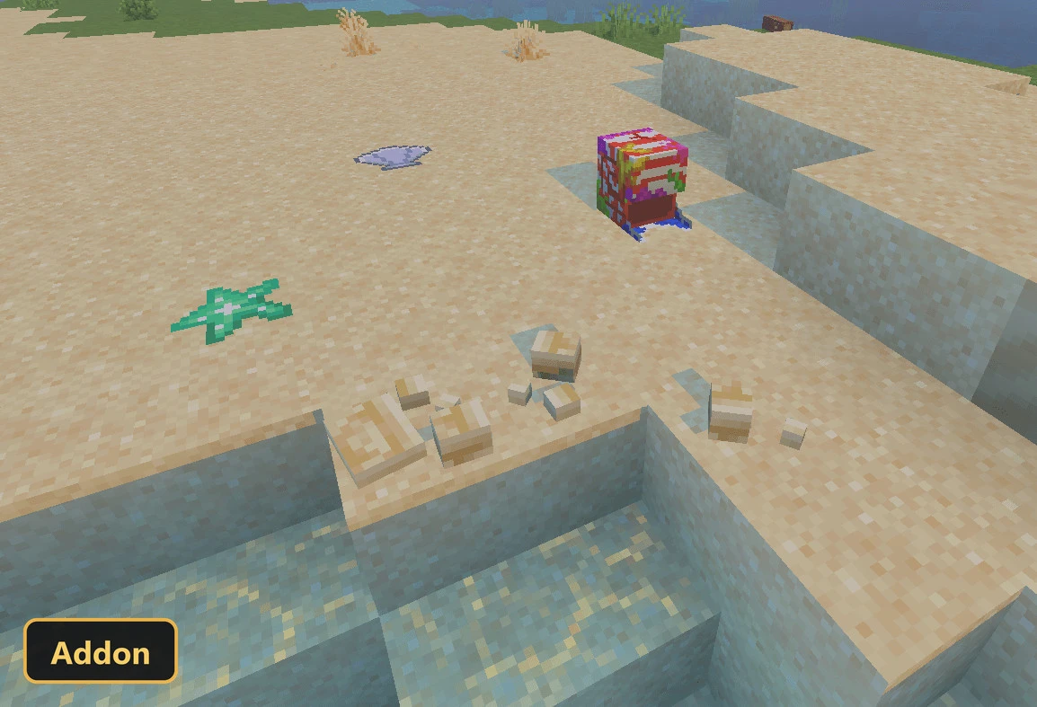 seashells and a gift box on a beach