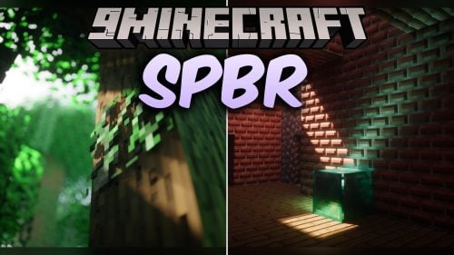 SPBR Model