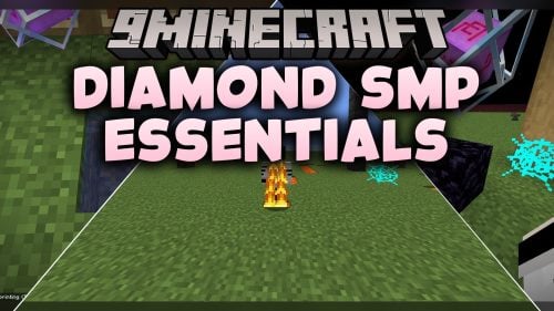 Diamond SMP Essentials Model