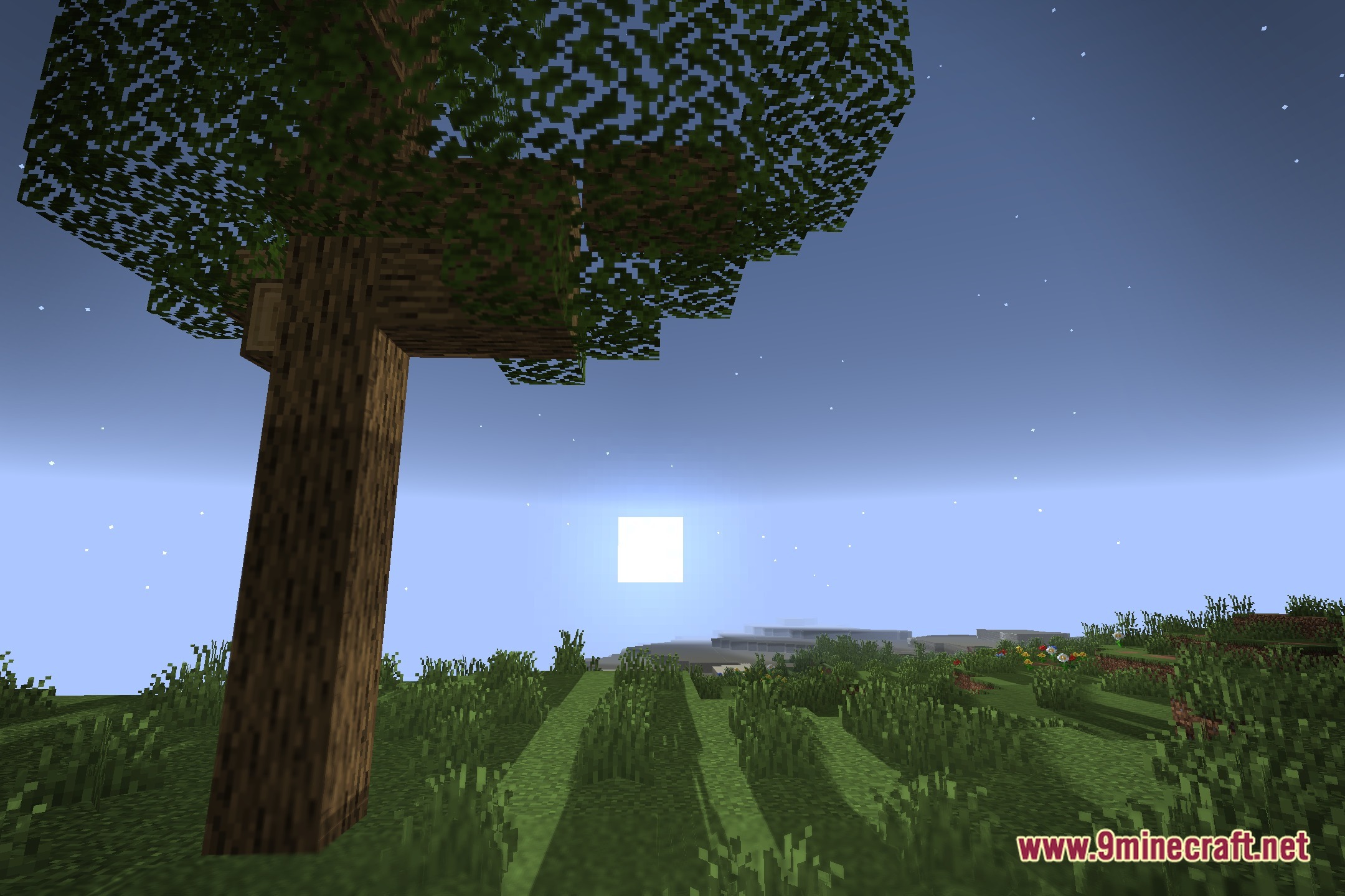 Lit Vanilla Plus Shaders Screenshot 4