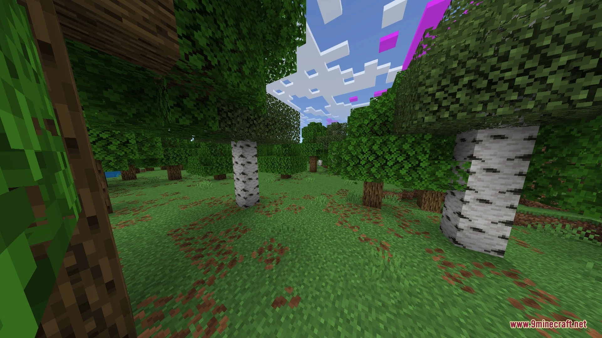 Newb X Unwind Shader (1.21.20+) – MCPE/Bedrock Screenshot 2 Newb X Unwind Shader (1.21.20+) – MCPE/Bedrock Screenshot 2