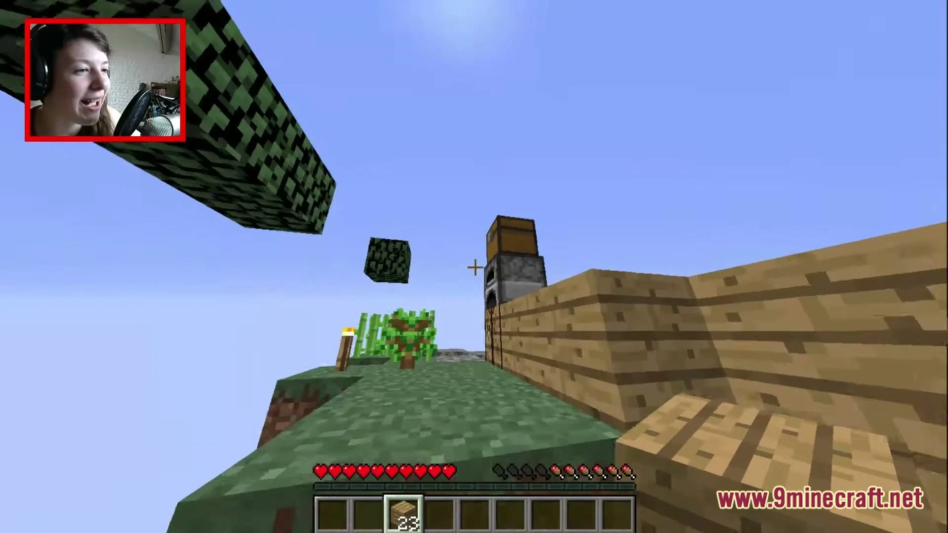 Skyisland Roxi Map (26.2, 1.20.1) – Survive Across Floating Biome Islands — screenshot 5