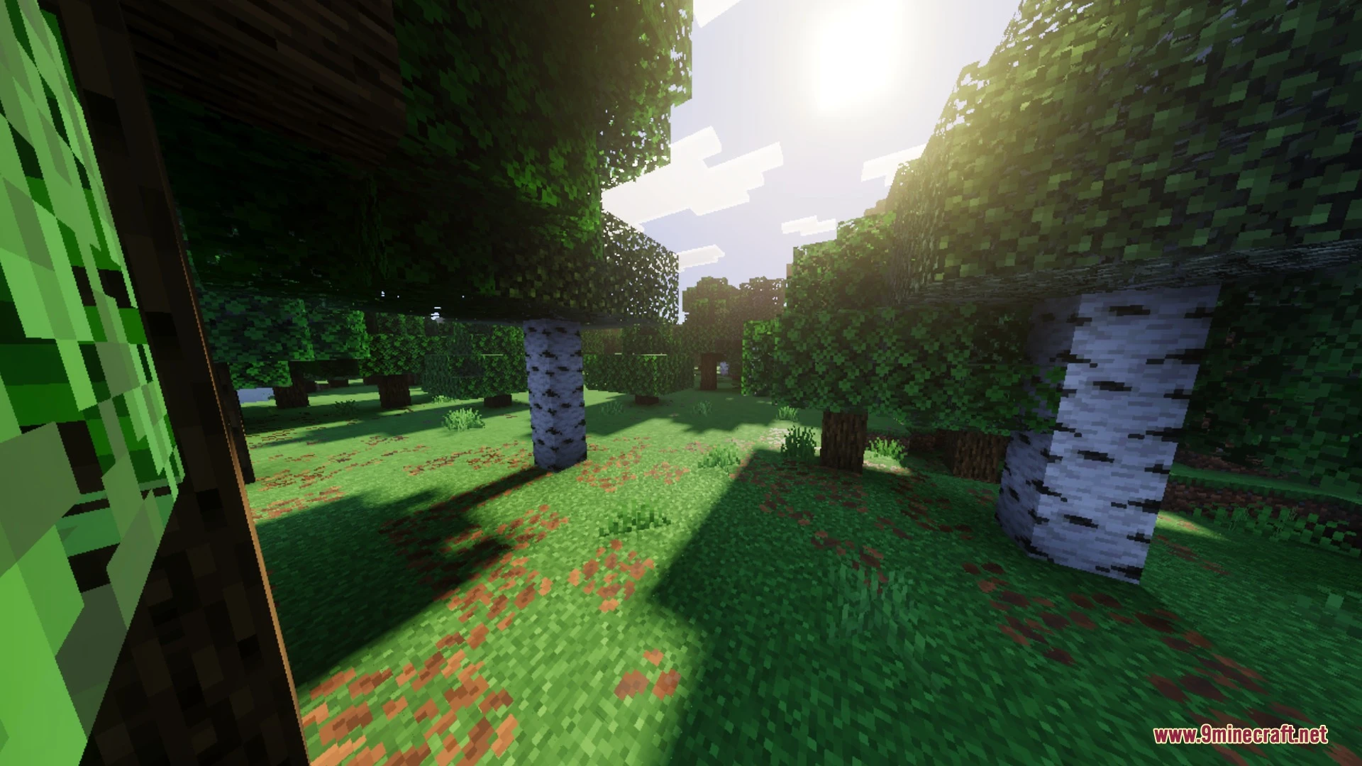 Vibrant Legacy Rewrite Shader (26.x) – Clean Illumination Across Bedrock Devices — screenshot 3