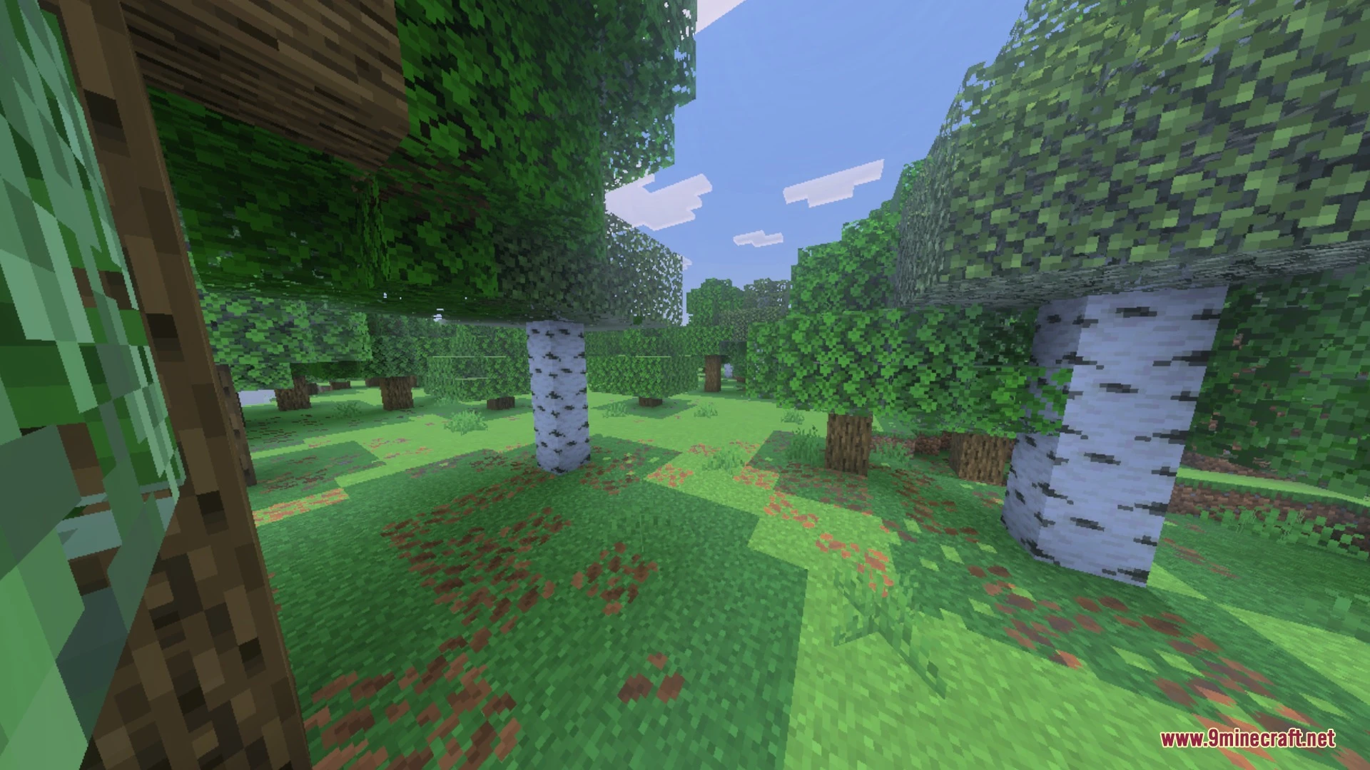 Newb Tropisphere Shader (26.x) – Realistic Clouds and Glowing Ores on Mobile — screenshot 2