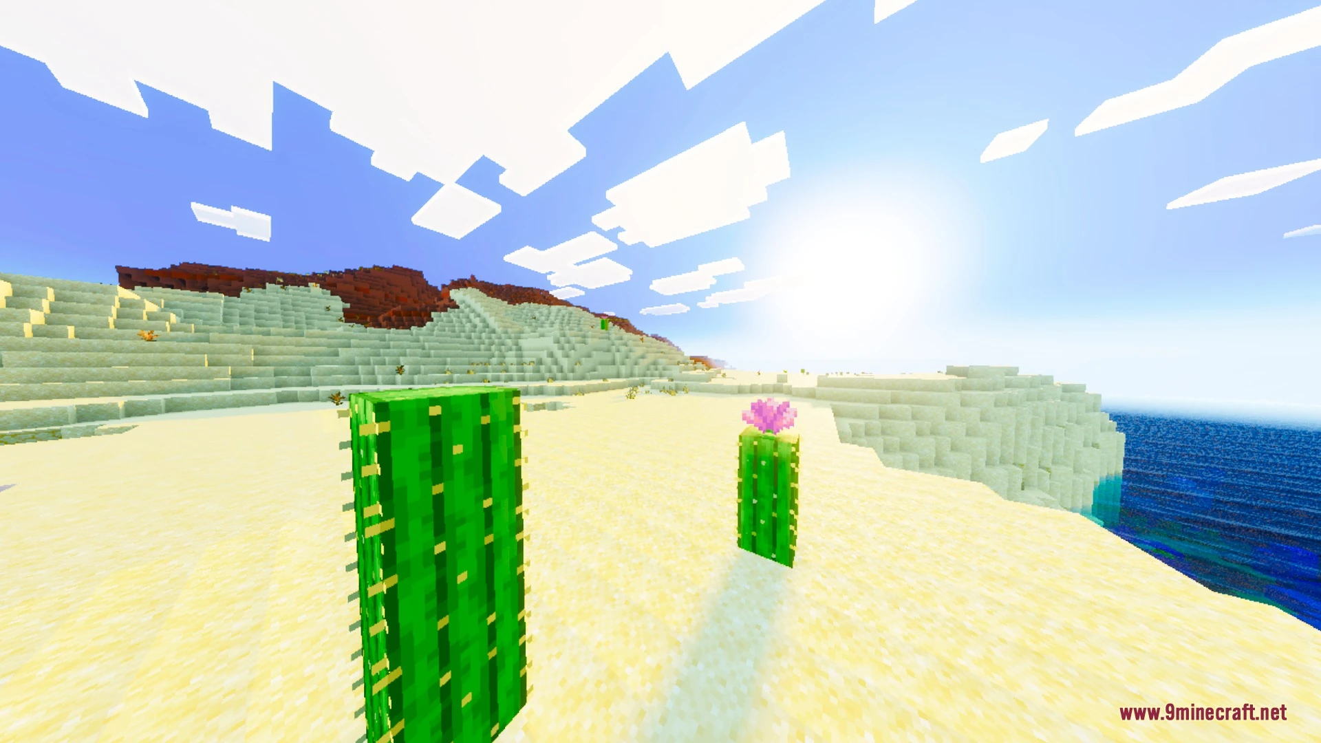 Nexora Visuals Shader (26.x) – Warm Biome Tones and Smooth Water Caustics — screenshot 3
