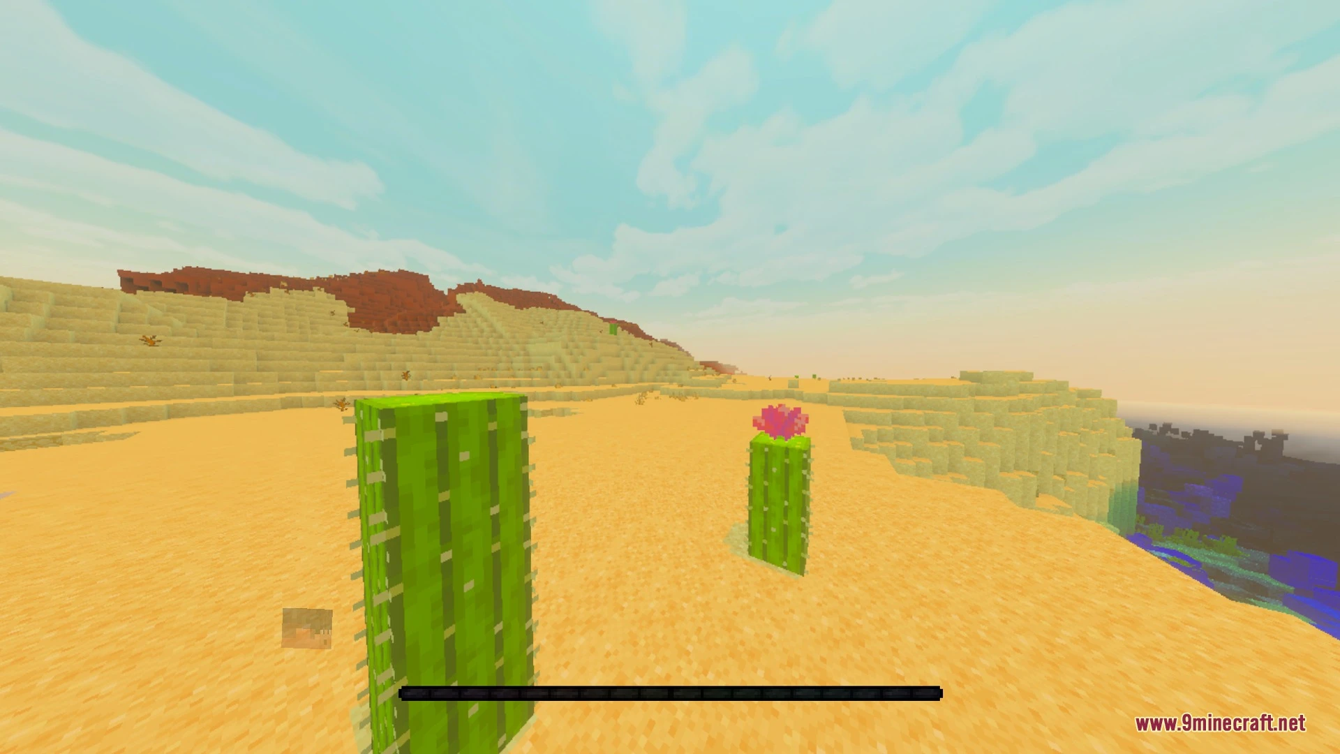 THE LAST TEXTURE Shader (26.x, 1.21) – Zero Biome Fog and Clean HUD — screenshot 5