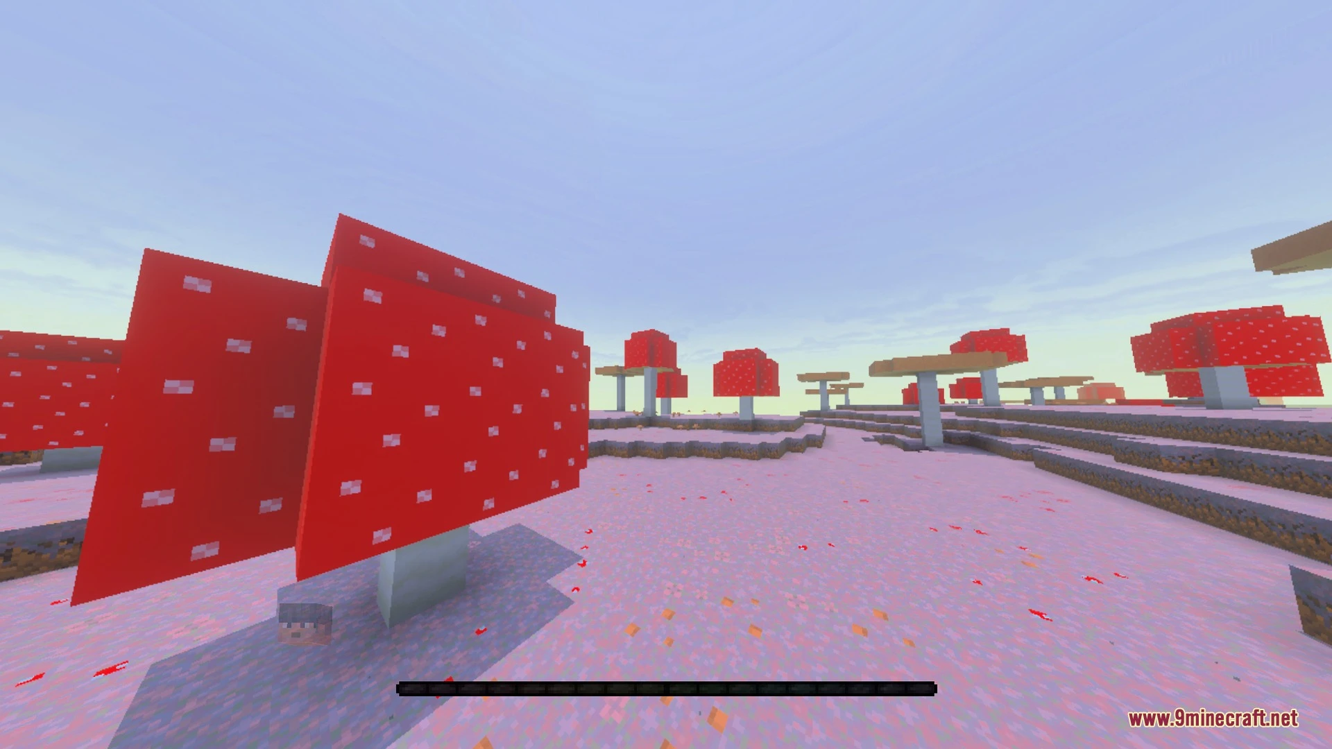 THE LAST TEXTURE Shader (26.x, 1.21) – Zero Biome Fog and Clean HUD — screenshot 7