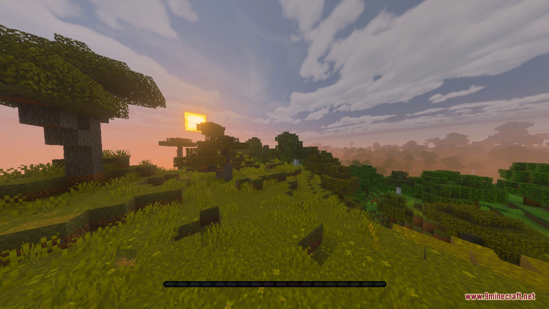THE LAST TEXTURE Shader (26.x, 1.21) – Zero Biome Fog and Clean HUD — screenshot 8