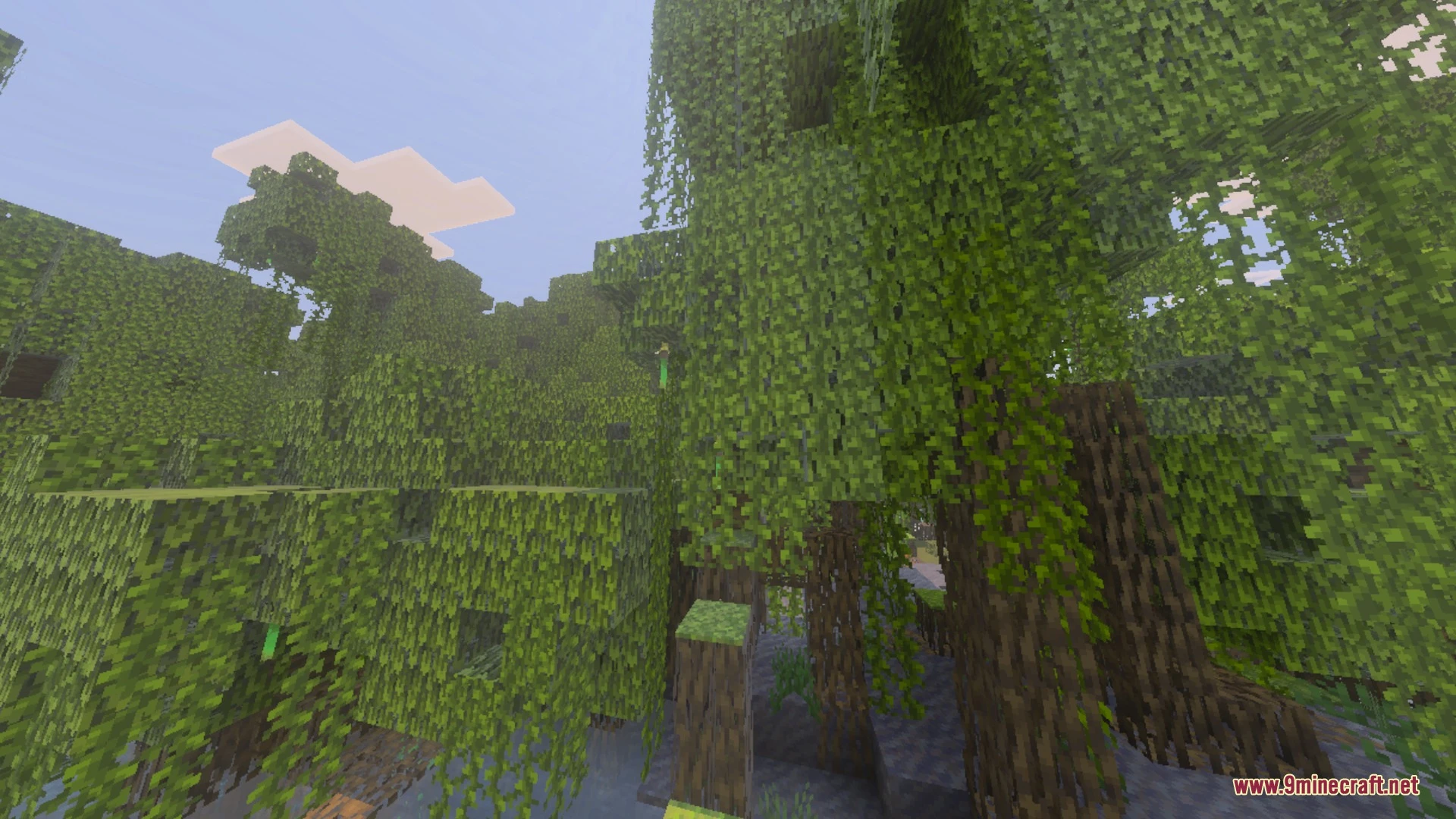 Clear Sight Shader (26.x, 1.21) – Brighter Caves and Clear Water on Any Device Screenshot 5 Clear Sight Shader (26.x, 1.21) – Brighter Caves and Clear Water on Any Device Screenshot 5