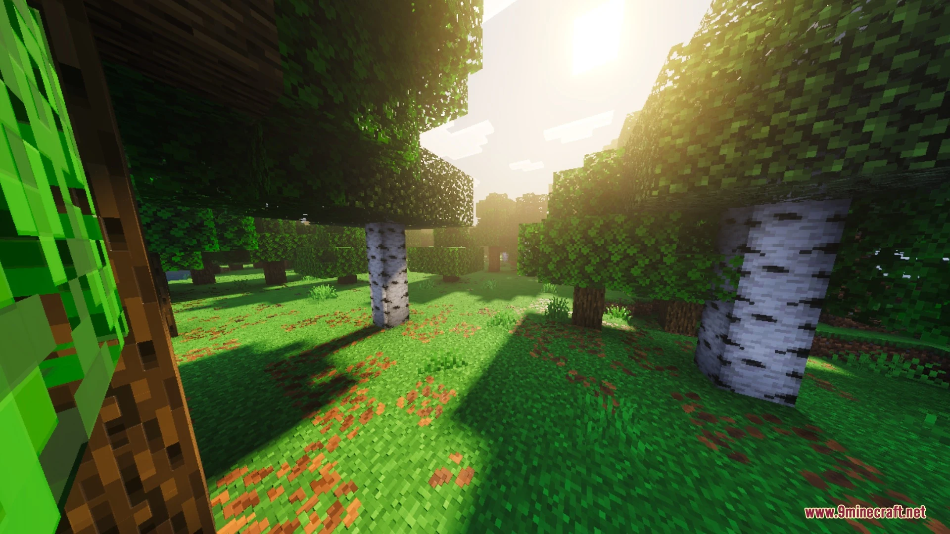 Enhanced Vibrant Visuals Shader (26.x, 1.21) – Volumetric Fog and PBR Textures — screenshot 3