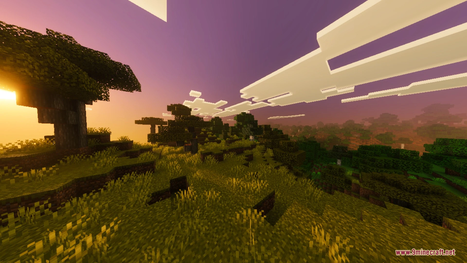 Enhanced Vibrant Visuals Shader (26.x, 1.21) – Volumetric Fog and PBR Textures — screenshot 7