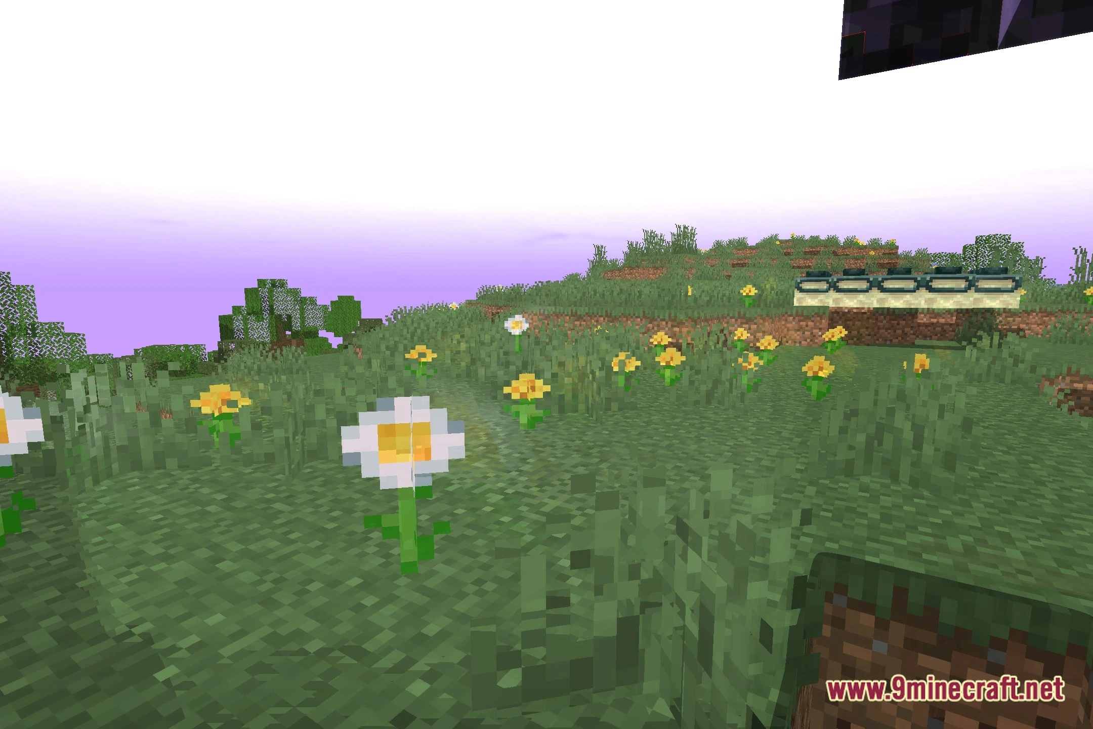 LowWorld V1 Shaders (26.3, 1.20.1) – Lightweight Lighting for Low-End PCs — screenshot 5