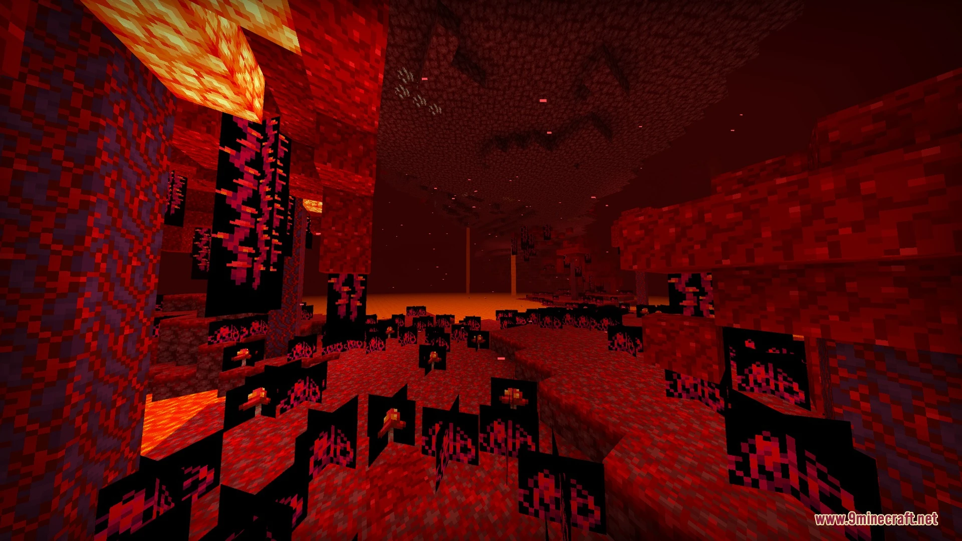 No Lag Pack Shaders (26.x, 1.21) – Warm Saturated Visuals for Low-End — screenshot 7