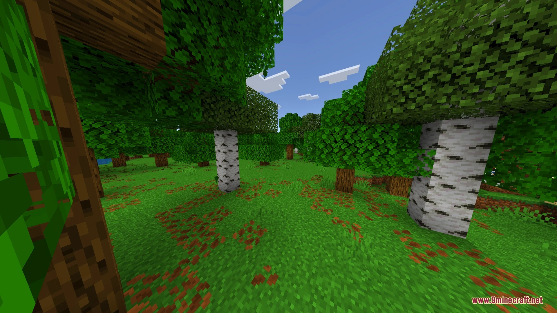 Saturated Visual Zephyr Free Lag Shader (26.x, 1.21) – Warmer Saturated Tones — screenshot 1