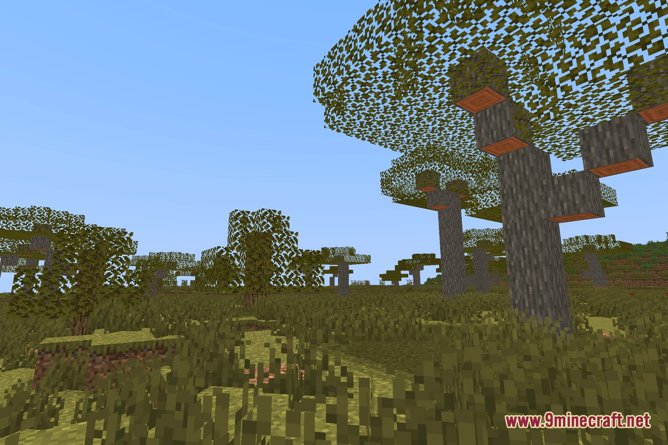 AuroraShader Screenshot 12