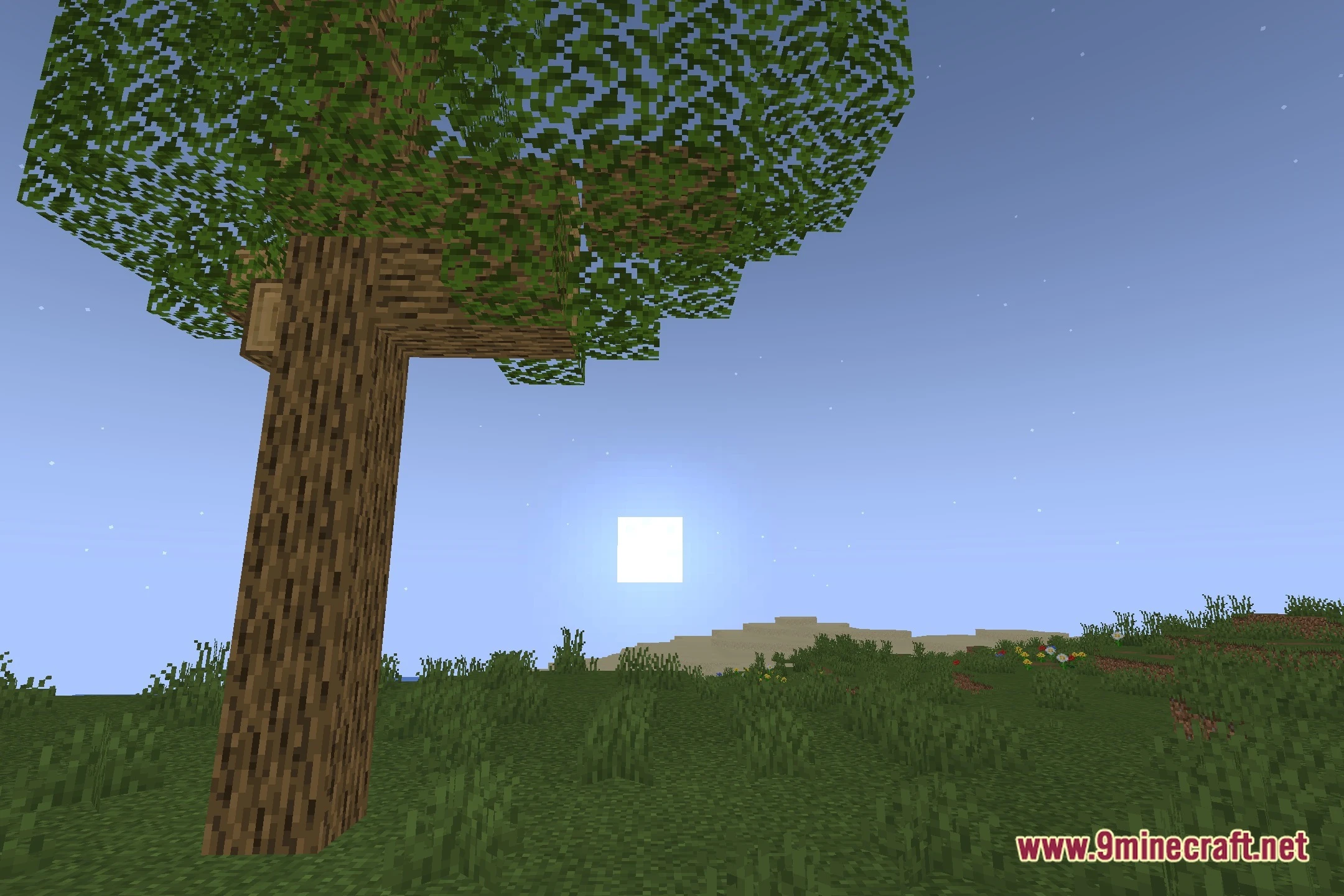AuroraShader (26.3, 1.20.1) – Modern Real-Time GLSL Lighting on Iris — screenshot 4