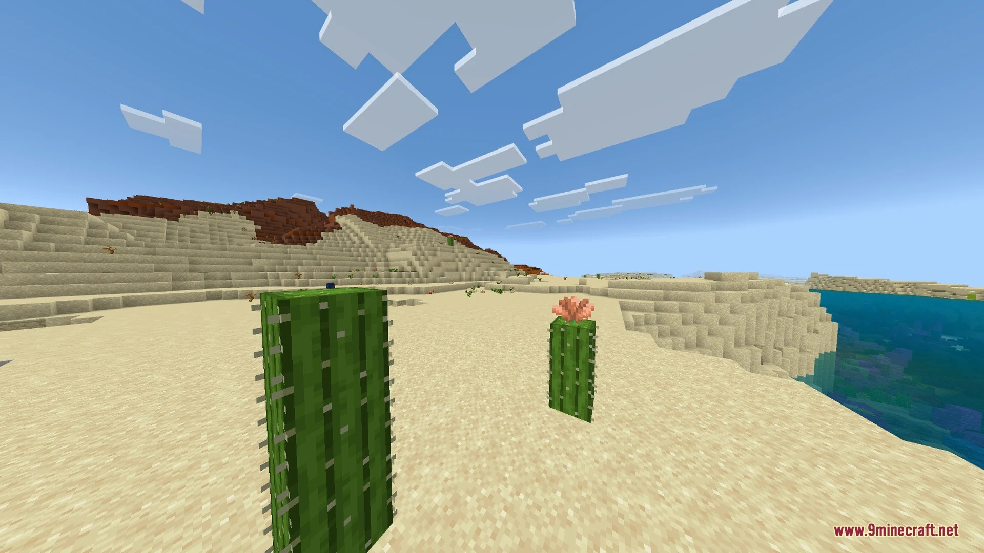 Radiant Variant World- RVW Shader (26.x, 1.21) – Glowing Ores and Vanilla Block Screenshot 2 Radiant Variant World- RVW Shader (26.x, 1.21) – Glowing Ores and Vanilla Block Screenshot 2