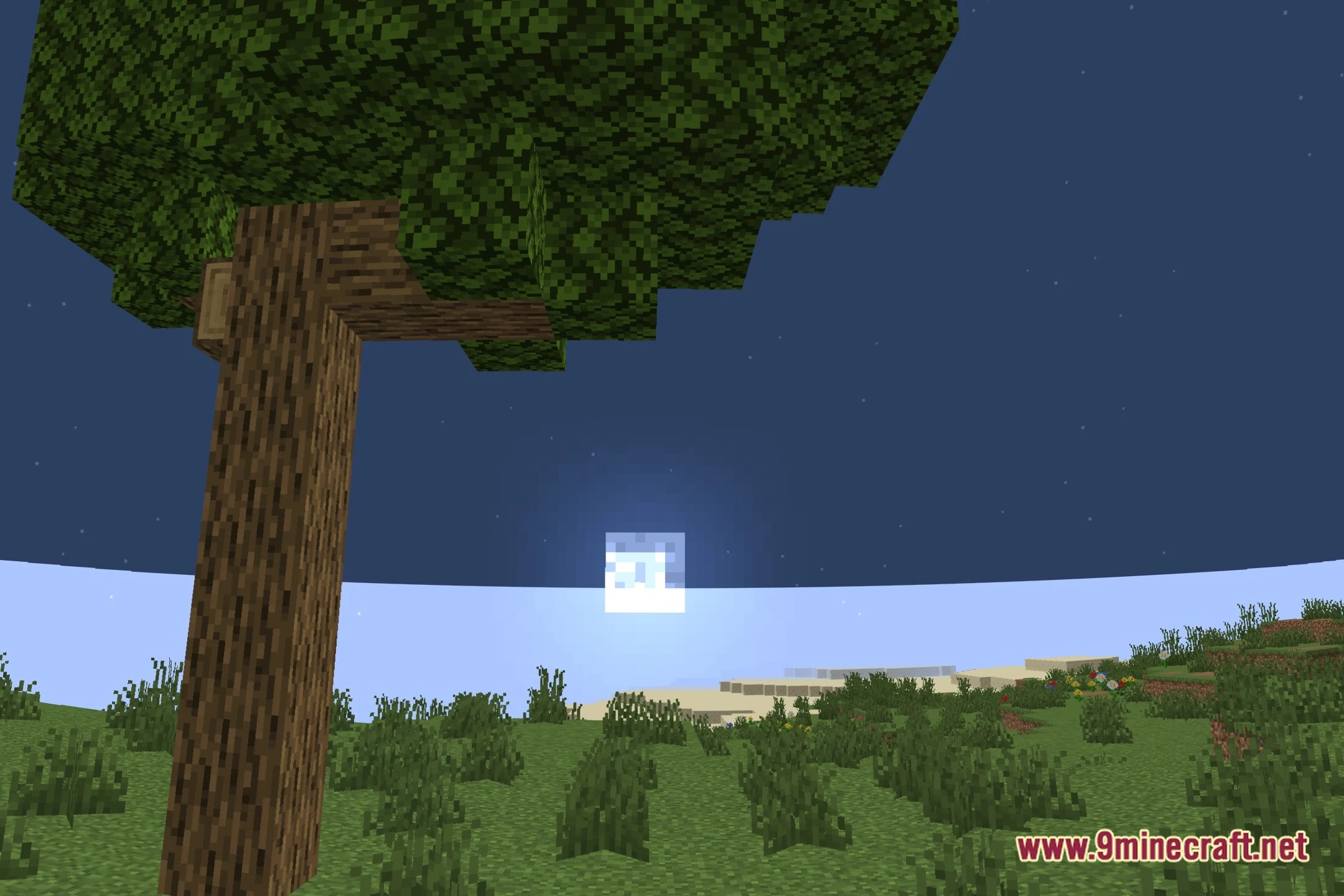 7amada Panini Projection Lite Shaders (26.3, 1.20.1) – Fixes Wide FOV Distortion — screenshot 4