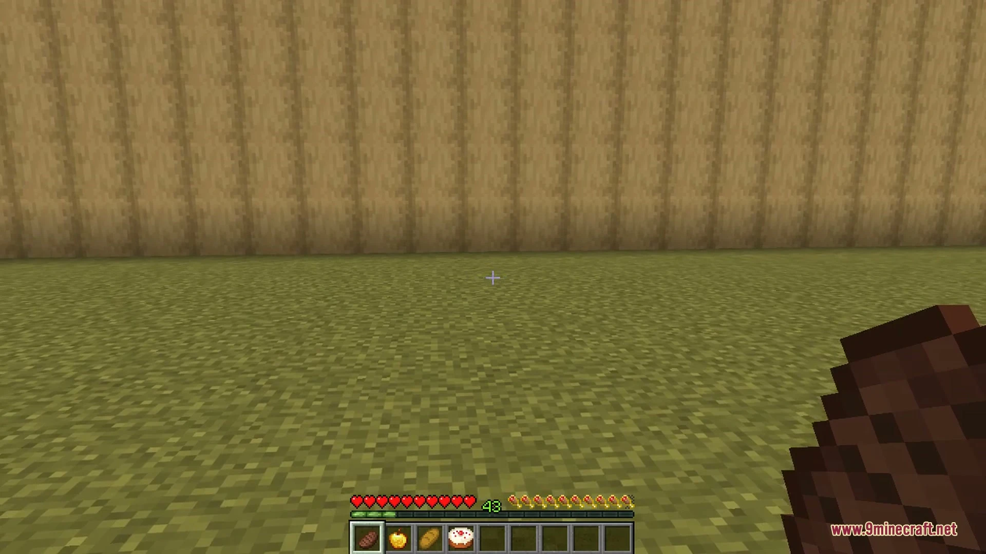 Better Food & Hunger HUD 9minecraft Mod (26.3, 1.20.1) — screenshot 4
