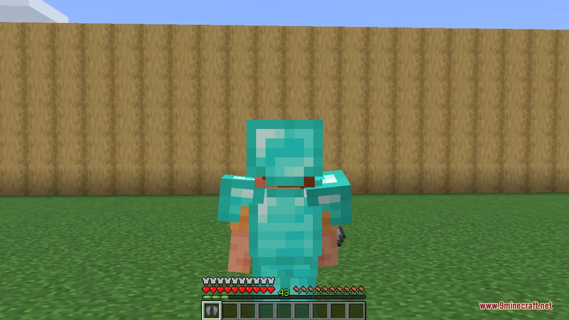 Elytra Slot 9Minecraft Mod screenshot 6