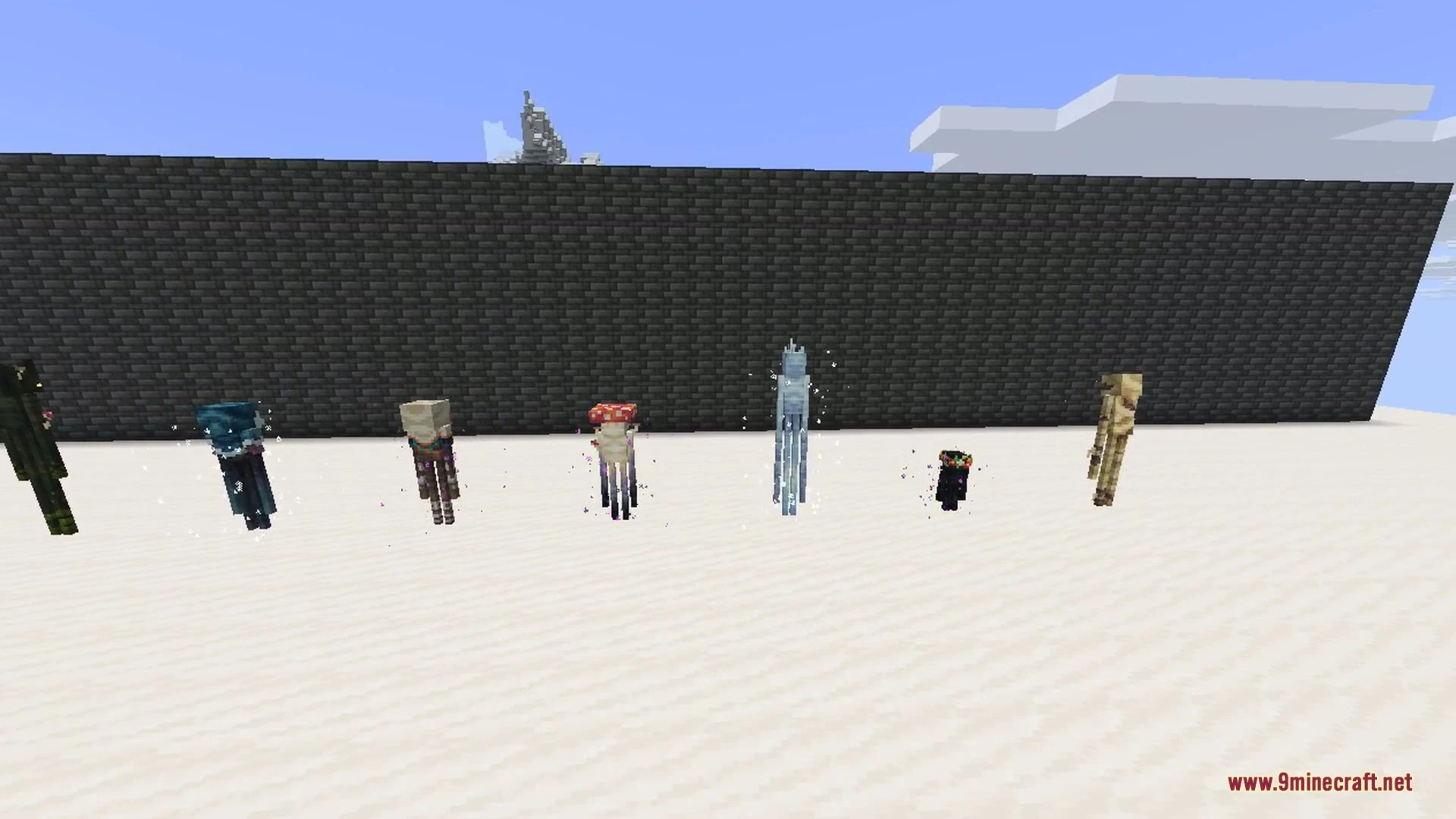 Enderman Overhaul 9minecraft Mod (26.3, 26.2) – Unique Endermen in Every Biome — screenshot 3