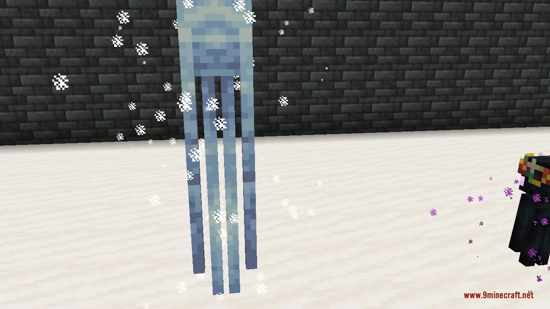 Enderman Overhaul 9minecraft Mod (26.3, 26.2) – Unique Endermen in Every Biome — screenshot 7