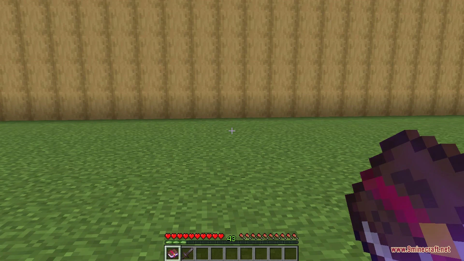 Minecraft inventory screen showing a long tooltip wrapped into multiple clear lines
