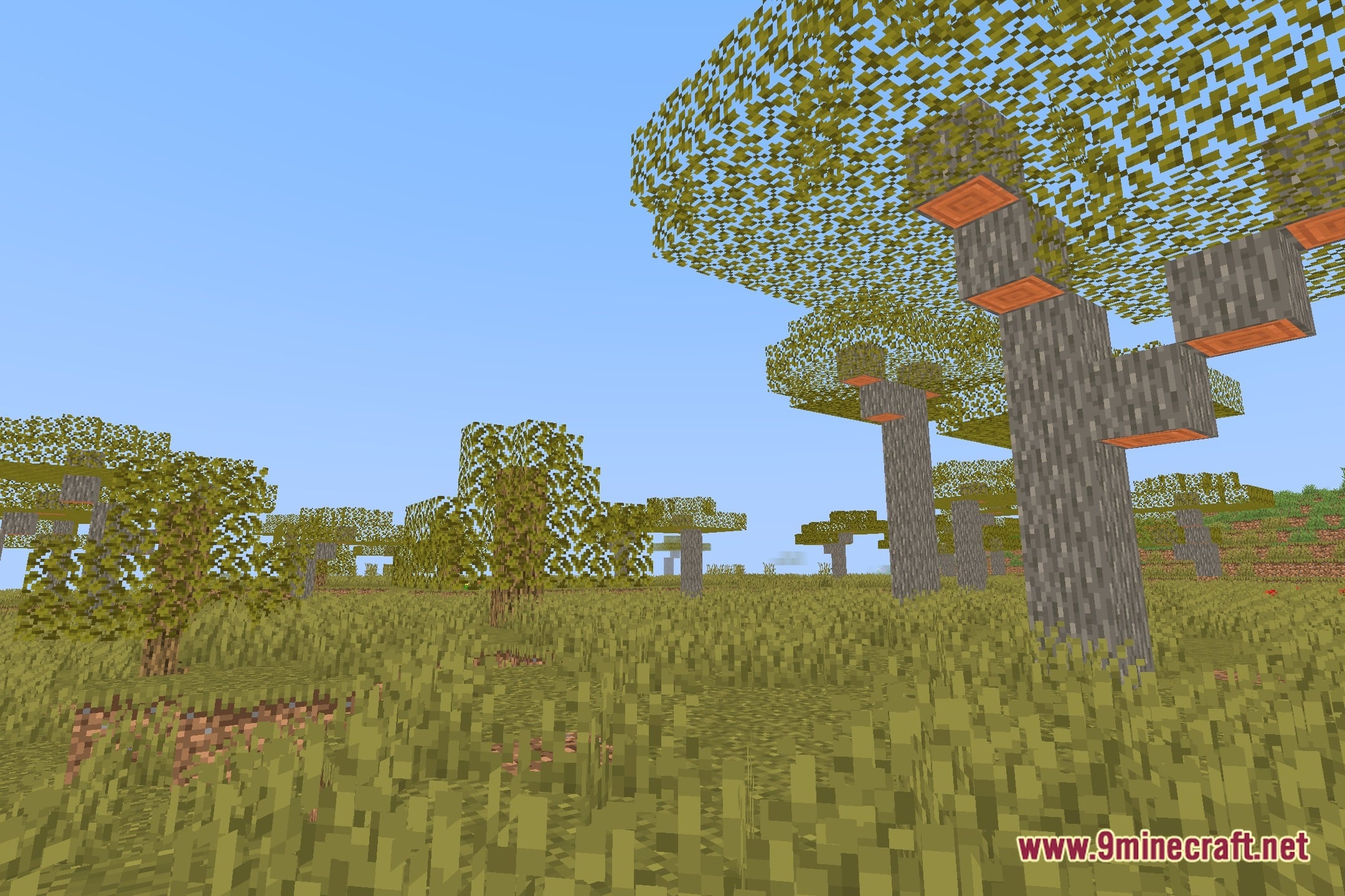 Super FPS Shaders Screenshot 12