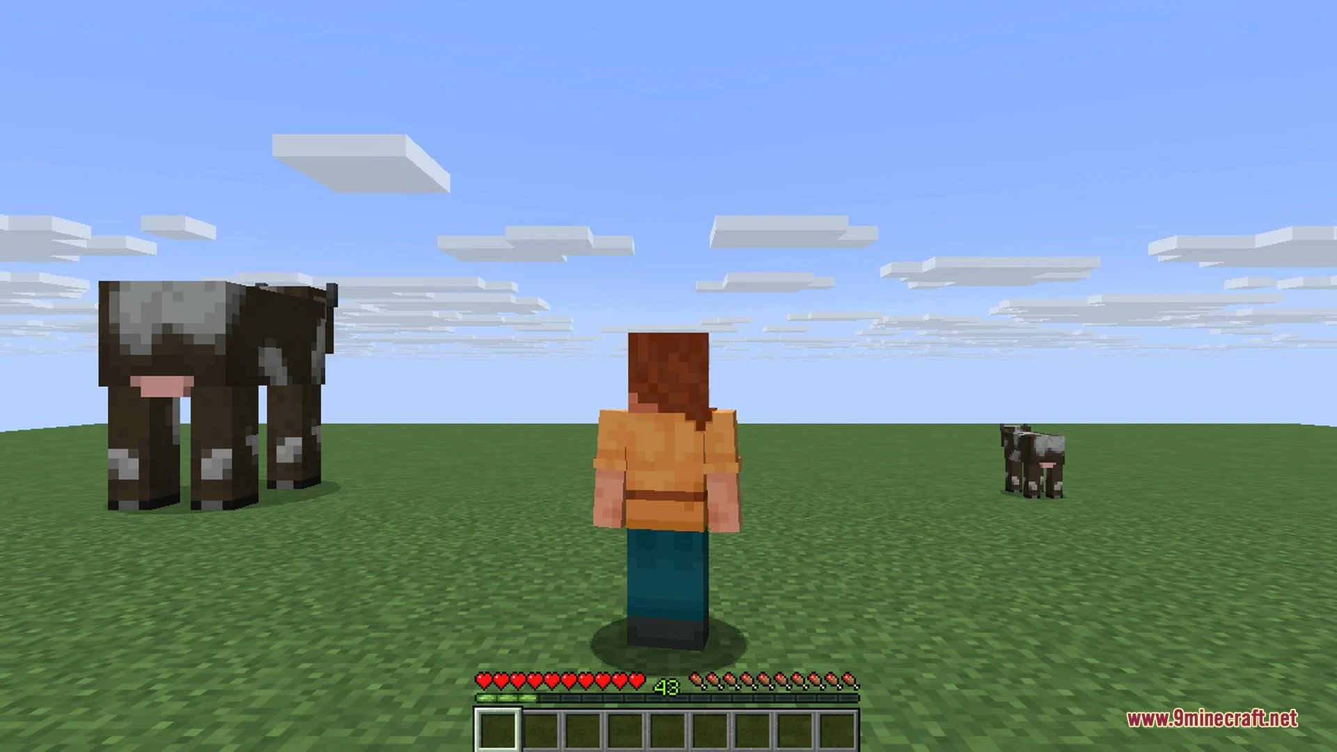 A mix of mobs, each resized to a different scale