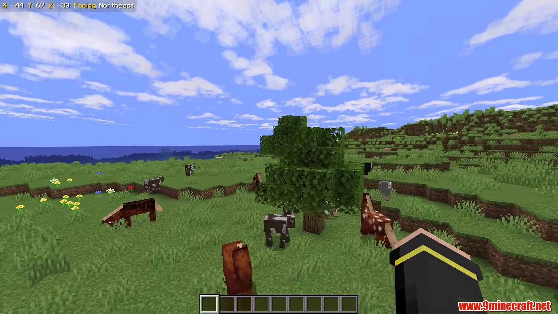 Vast Plains Sanctuary Island - Minecraft 26.3 Island Seed 3832120325 view 3